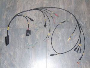 club spec wiring loom
